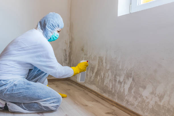 Crawl Space Mold Remediation treatment of floor joists in Schertz